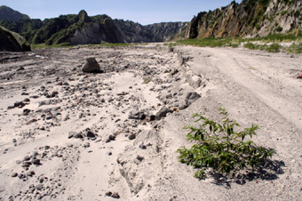 Lahar landscape near Mt Pinatubo image