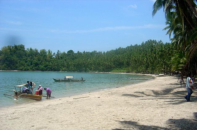 Panapukan Beach, Tarangnan, Western Samar (image)