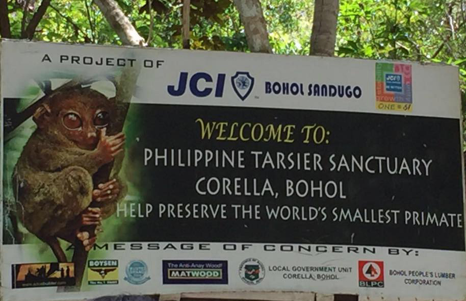 Philippine Tarsier Sanctuary (image)